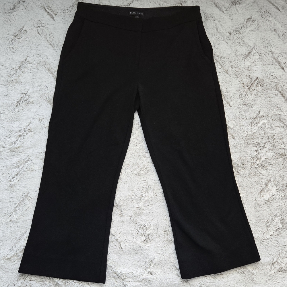 EUC Eileen Fisher Career, Office, Business Casual, Stretchy Capris, Women's 6